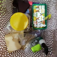 طوطی برزیلی