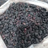 کشمش آبگیری تاکستان|خوردنی و آشامیدنی|تهران, فلاح|دیوار