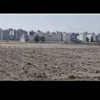 زمین-در-حال-تفکیک-ارغوانیه