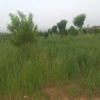 باغ هزار متری معاوضه با خودرو|فروش زمین و ملک کلنگی|زنجان, |دیوار