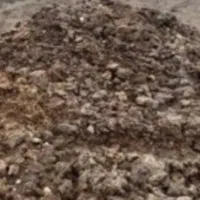 فروش کود گاوی