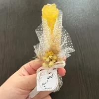گیفت نبات شاخه ای عروسی ونامزدی|صنایع دستی و سایر لوازم تزئینی|ساری, |دیوار