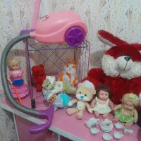 اسباب بازی|اسباببازی بچه|مشهد, قائم|دیوار