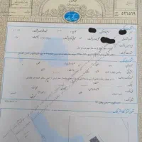 کارهای گرفتن سند تک برگ