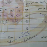 زنجیر طلا