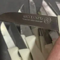 چاقو میوه خوری تیز ۱۶ عدد|ظروف سرو و پذیرایی|هشتگرد, هشتگرد قدیم|دیوار