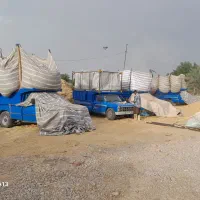 فروش کاه گندم درجه یک