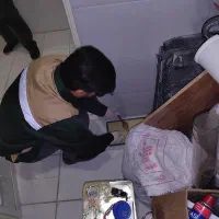 سمپاشی و ریشه کنی انواع سوسک، موش، موریانه، ریشمیز