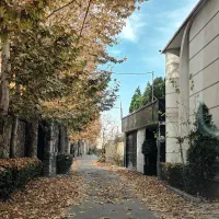 زمین-423مترسندسالم-در-فرعی-بنام-لواسان-کوچک