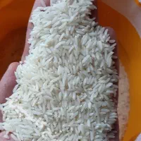 برنج هاشمی