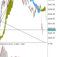 سرمایه گذاری در بازار مالی فارکس