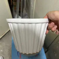 گلدون و پایه