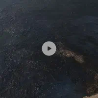 طلای نایاب|جواهرات|کوهدشت, |دیوار