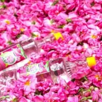 گلاب درجه یک