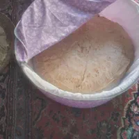 جانونی|ظروف نگهدارنده، پلاستیکی، یک‌بارمصرف|بهبهان, |دیوار