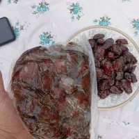 خرمای کبکاب فوق العاده از بوشهر