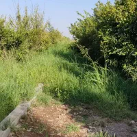 فروش باغچه ارزان قیمت