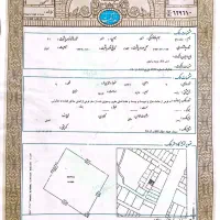 زمین|فروش زمین و ملک کلنگی|جهرم, |دیوار