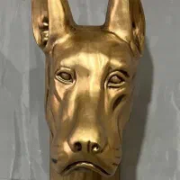 فروش انواع mogsame در خوی