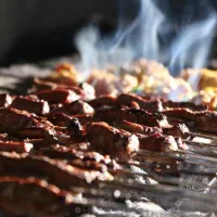 استخدام شاطر (جگرکی کبابی)