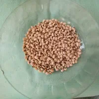 حبوبات