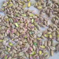 مواد غذایی|خوردنی و آشامیدنی|قائم‌شهر, |دیوار