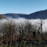 کارگر سرایدار برای برداشت محصول باغ