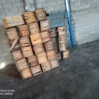 سبد چوبی مخصوص میوه|عمدهفروشی|جهرم, |دیوار