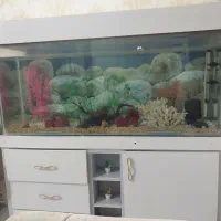 آگواریوم ۱۲۰ در ۷۰|ماهی|مشهد, انقلاب|دیوار