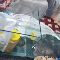 آکواریوم|ماهی|اهواز, پردیس دو|دیوار