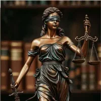 وکیل دادگستری،وکالت تخصصی و حرفه ای (حقوقی.کیفری)