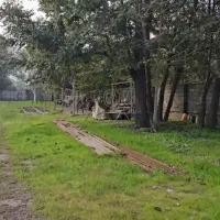 فروش کارگاه تیرچه بلوک لاهیجان|فروش دفتر صنعتی، کشاورزی، تجاری|لاهیجان, بازکیاگوراب|دیوار