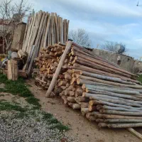 خرید انواع چوبهایخشکتروسقفی