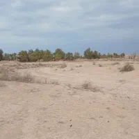 زمین در نزدیکی پار شمالی