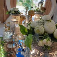 فقط ۵ملیون اجاره سالن عقد سفره آرائی دیجی مهماندار|خدمات پذیرایی، مراسم|فولادشهر, فولادشهر|دیوار