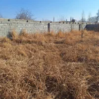 باغچه|فروش زمین و ملک کلنگی|هشتگرد, قاسم آباد بزرگ|دیوار