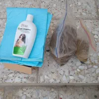 مقداری وسایل سگ