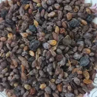 کشمش تمیز و درجه یک ،بدون هسته|خوردنی و آشامیدنی|مرودشت, بیست متری بیمارستان|دیوار