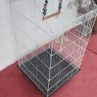 قفس|لوازم جانبی حیوانات|صومعهسرا, |دیوار