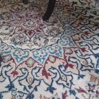 فرش دست بافت|فرش|بندرعباس, |دیوار