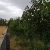 باغ ۴۰۰۰ متری در روستای ده سرخ سد کارده|فروش زمین و ملک کلنگی|مشهد, کلاهدوز|دیوار