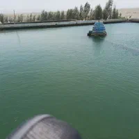 طبیعت