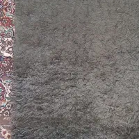 موکت نرم پرز بلند|موکت|زنجان, |دیوار