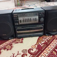 ضبط