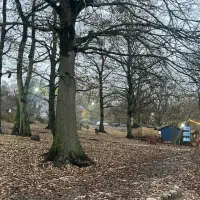 تیگو ۷ پرو مشکی کاور شده امریکایی