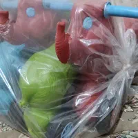 اسب و فیل پلاستکی عمده و تک سوارکاری|اسباب‌بازی بچه|تهران, کیانشهر|دیوار