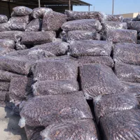 خریدار کده با بالاترین قیمت