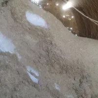 فروش پنج تن کاه گندم دیم