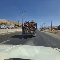خریدار چوب شما هستم