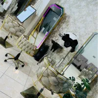 واگذاری سالن زیبایی